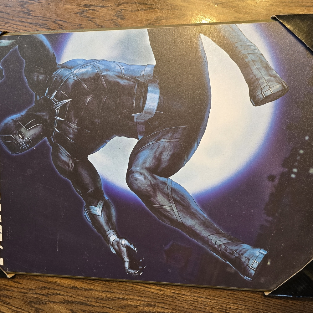 Black Panther Wall Art
